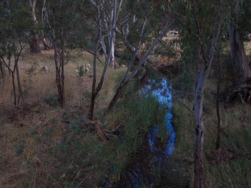 Amphitheatre Creek 2