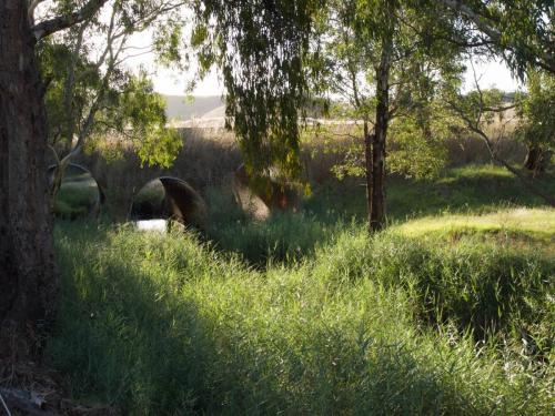 Amphitheatre Creek 1