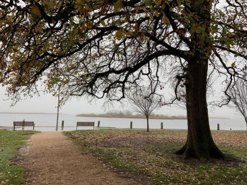 Winter Lake Wendouree 1