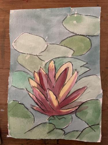 Waterlily alone